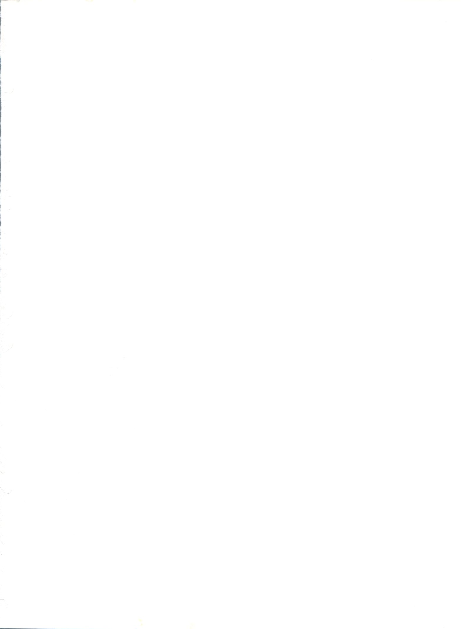 カードキャプターさくら第3幕グリーンバージョン