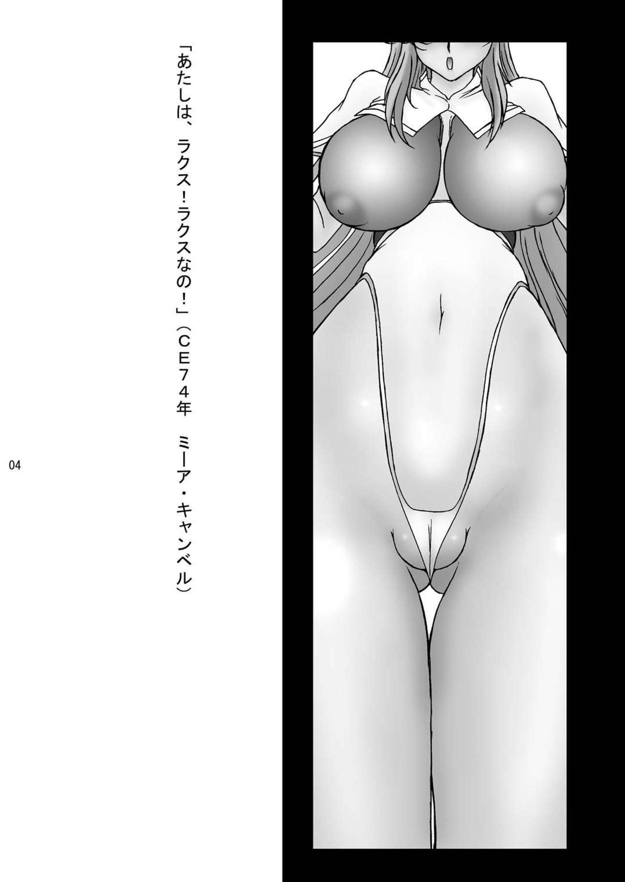 パーフェクトグレードMeer