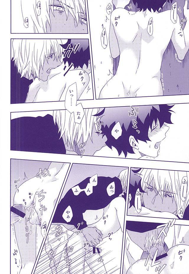 花葉と鯉の国際