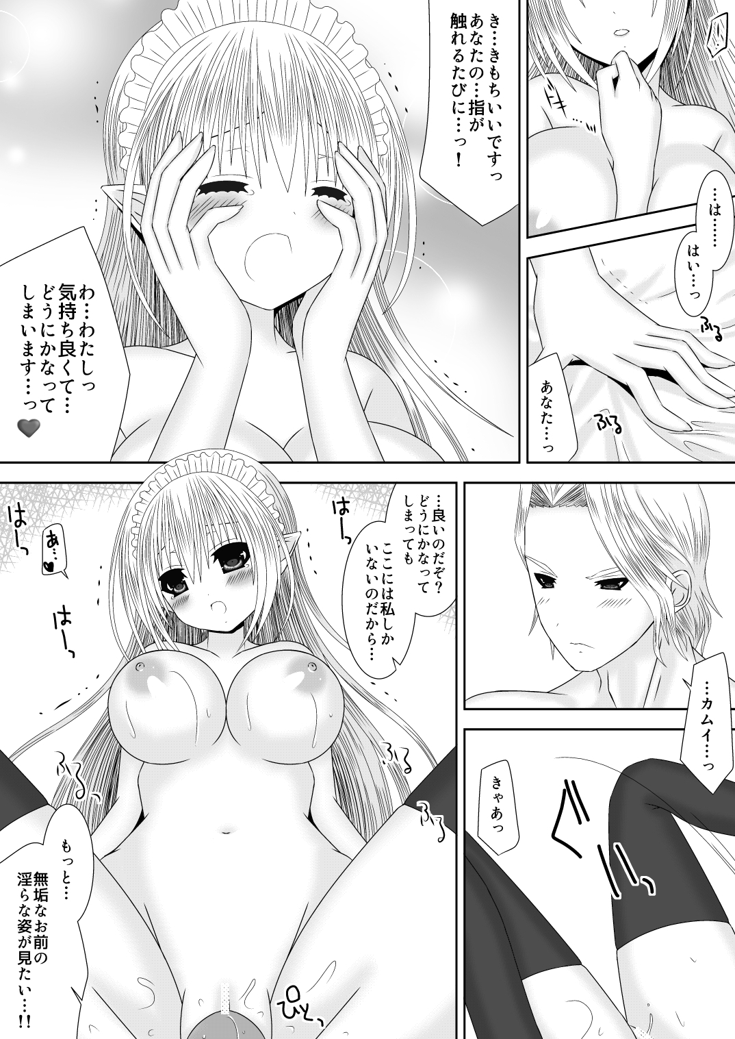 暗夜王妃のおしごと