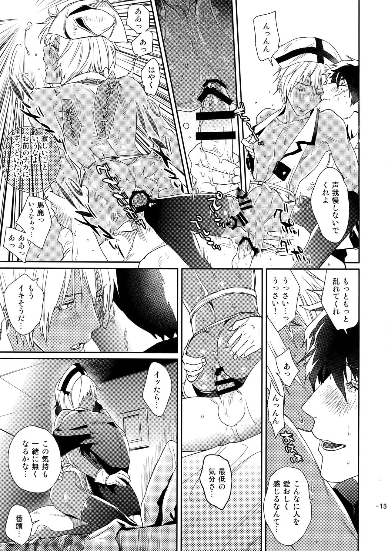 チョコレートアイスにほねの瑞製とろけたい