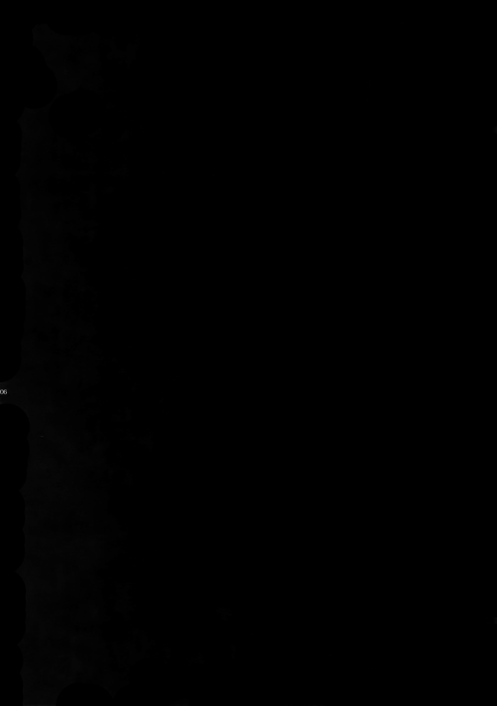 ひとでなしの鯉