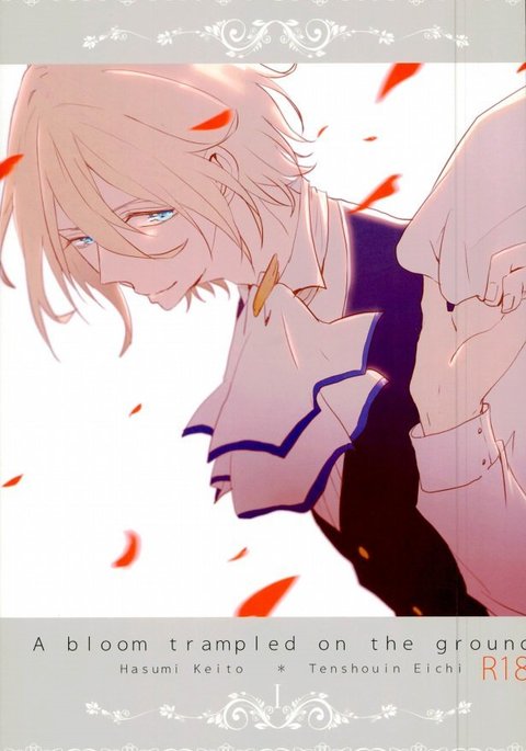 地面に踏みつけられた花1