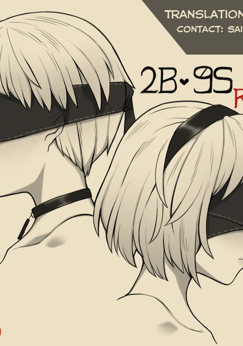 2B 9S