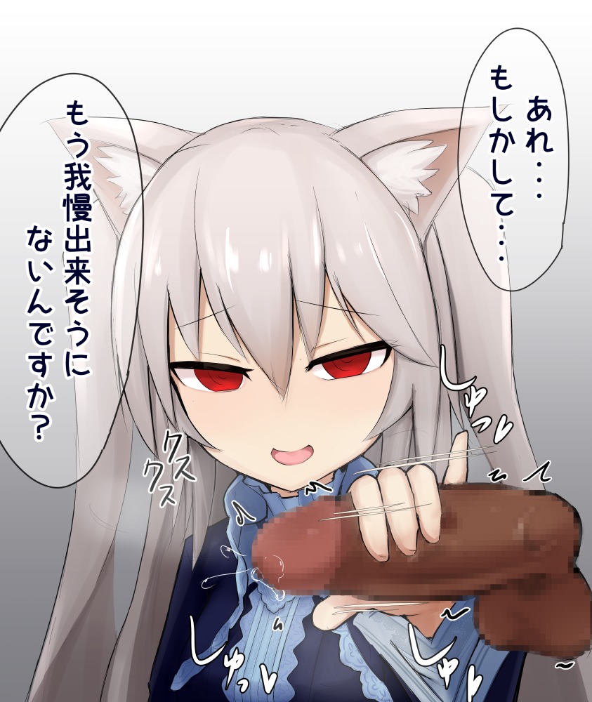 しゃせいかんり猫