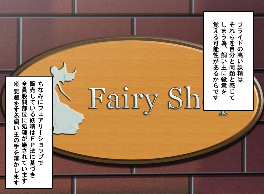 FAIRYPLANET☆妖精を愛するための説明書