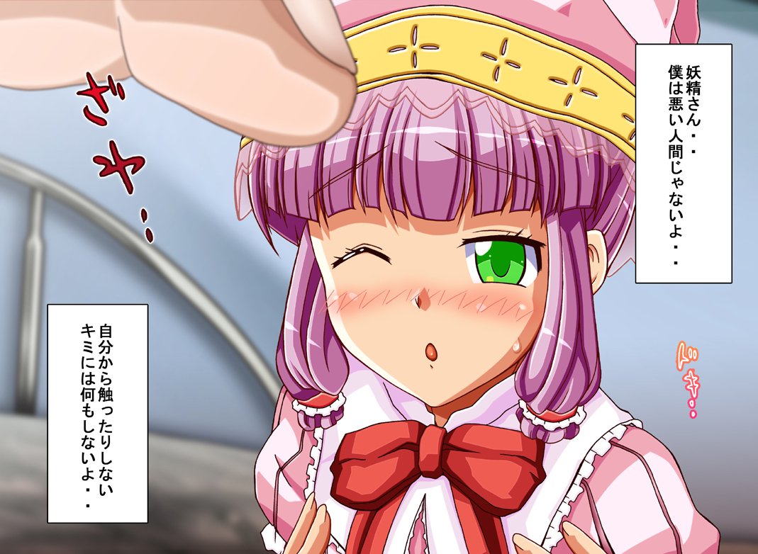 FAIRYPLANET☆妖精を愛するための説明書