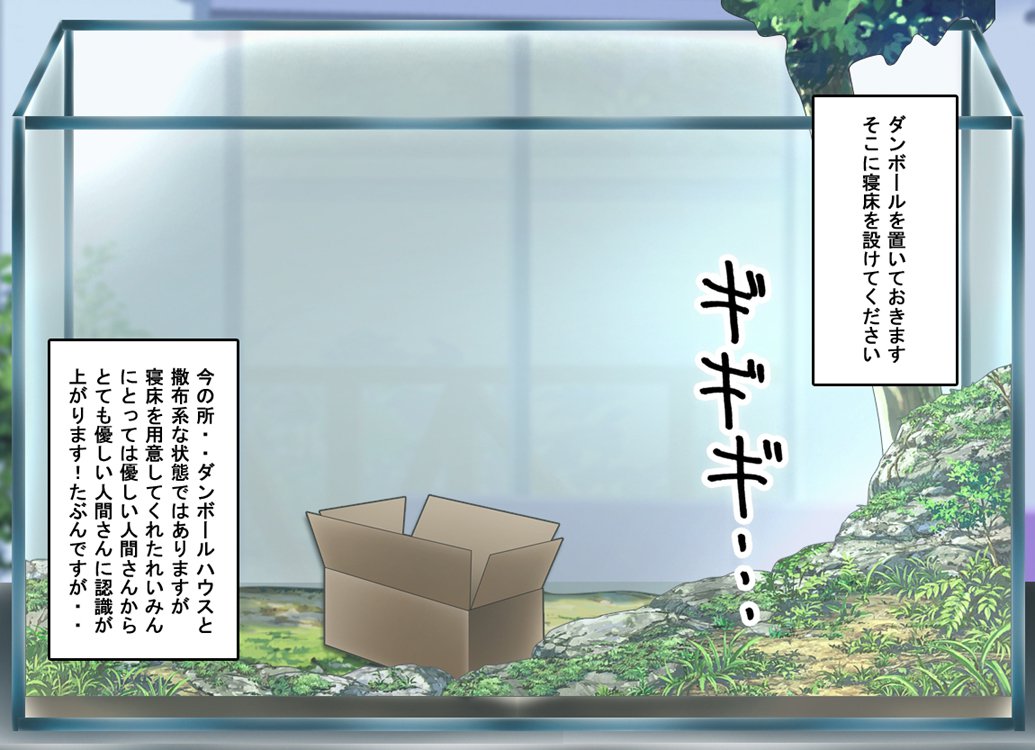 FAIRYPLANET☆妖精を愛するための説明書