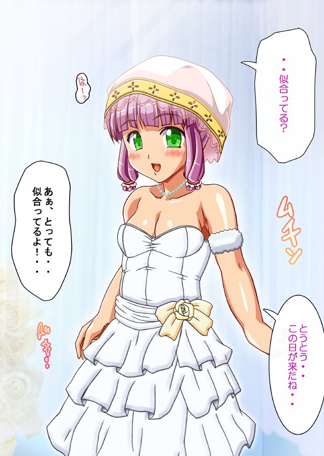 FAIRYPLANET☆妖精を愛するための説明書