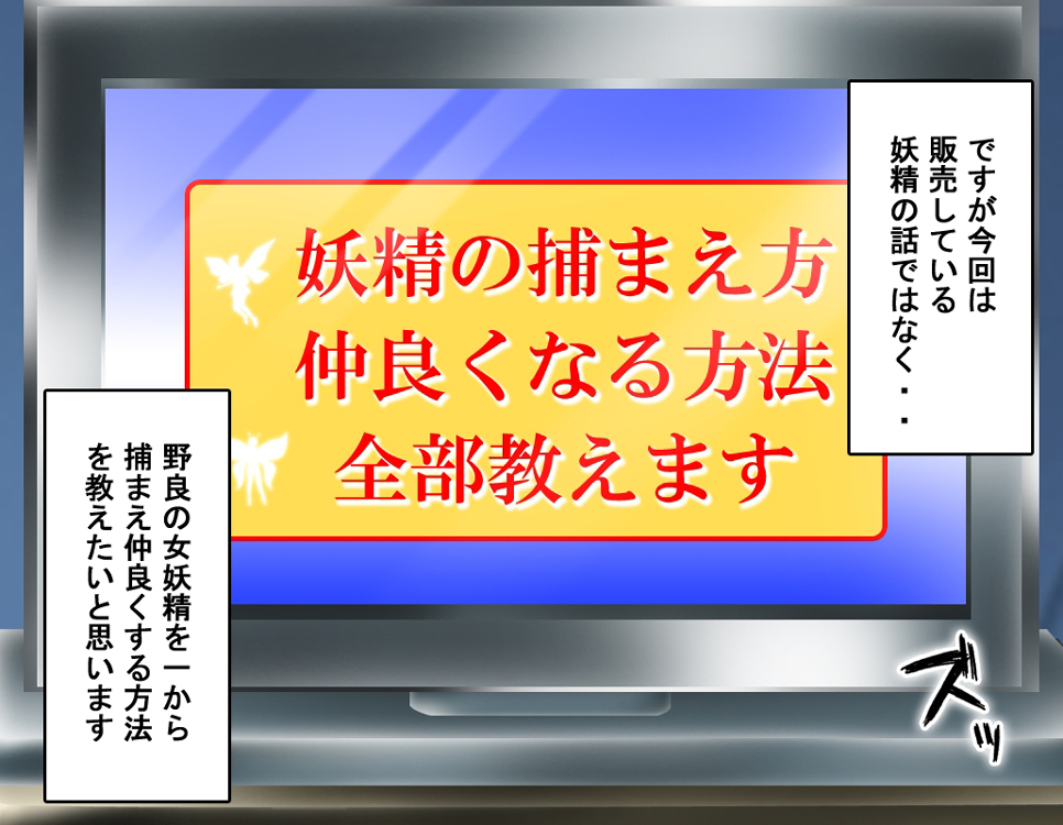 FAIRYPLANET☆妖精を愛するための説明書