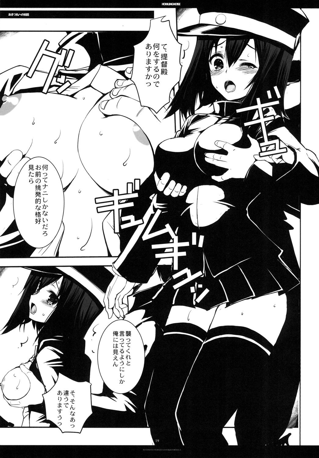 ハウリングノイズ