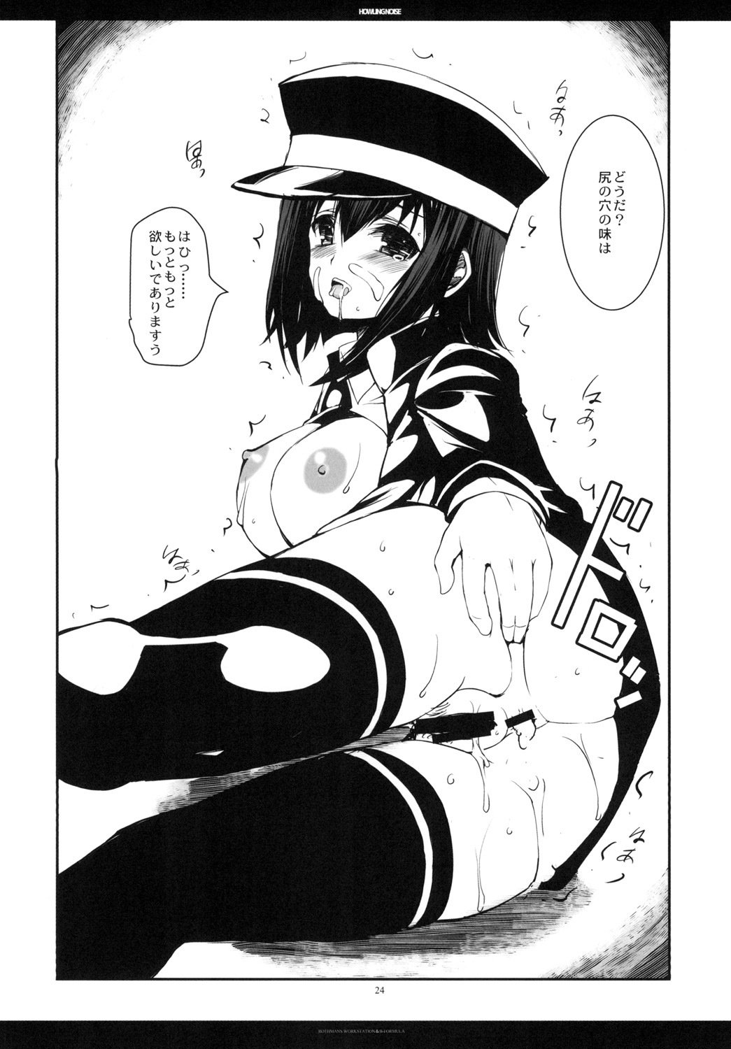 ハウリングノイズ