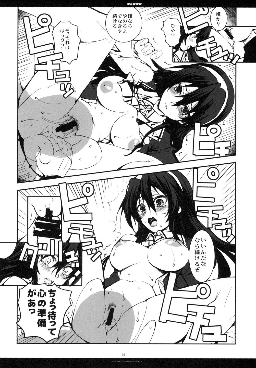 ハウリングノイズ