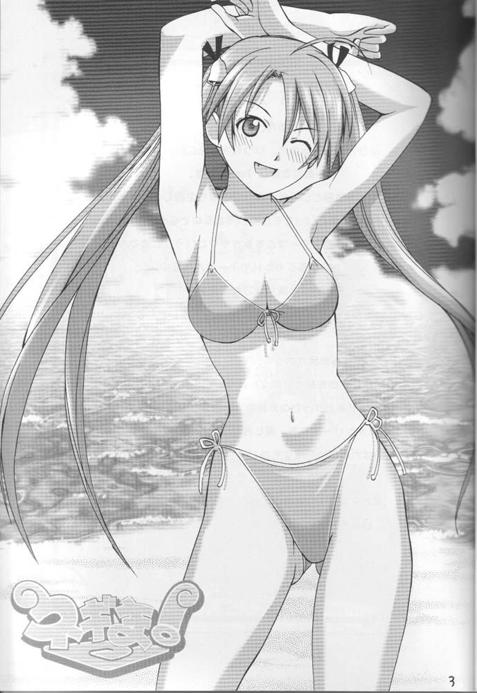 プレイシチュエーションZ