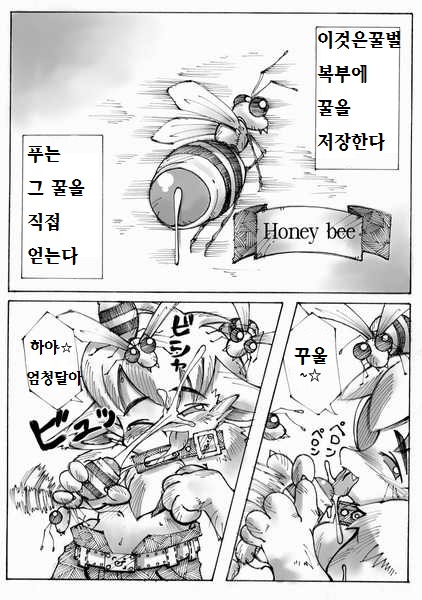 マコップ-蜂の攻撃！