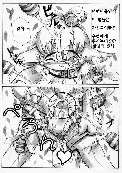 マコップ-蜂の攻撃！