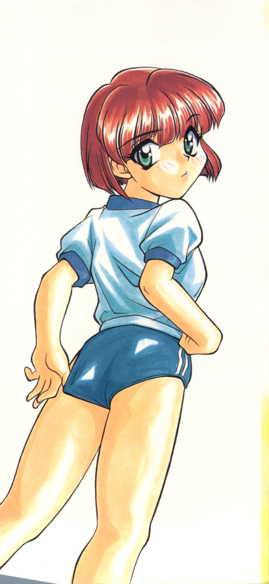 小さなパッケージ