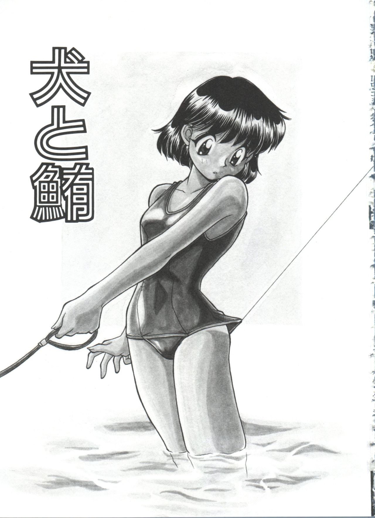 小さなパッケージ