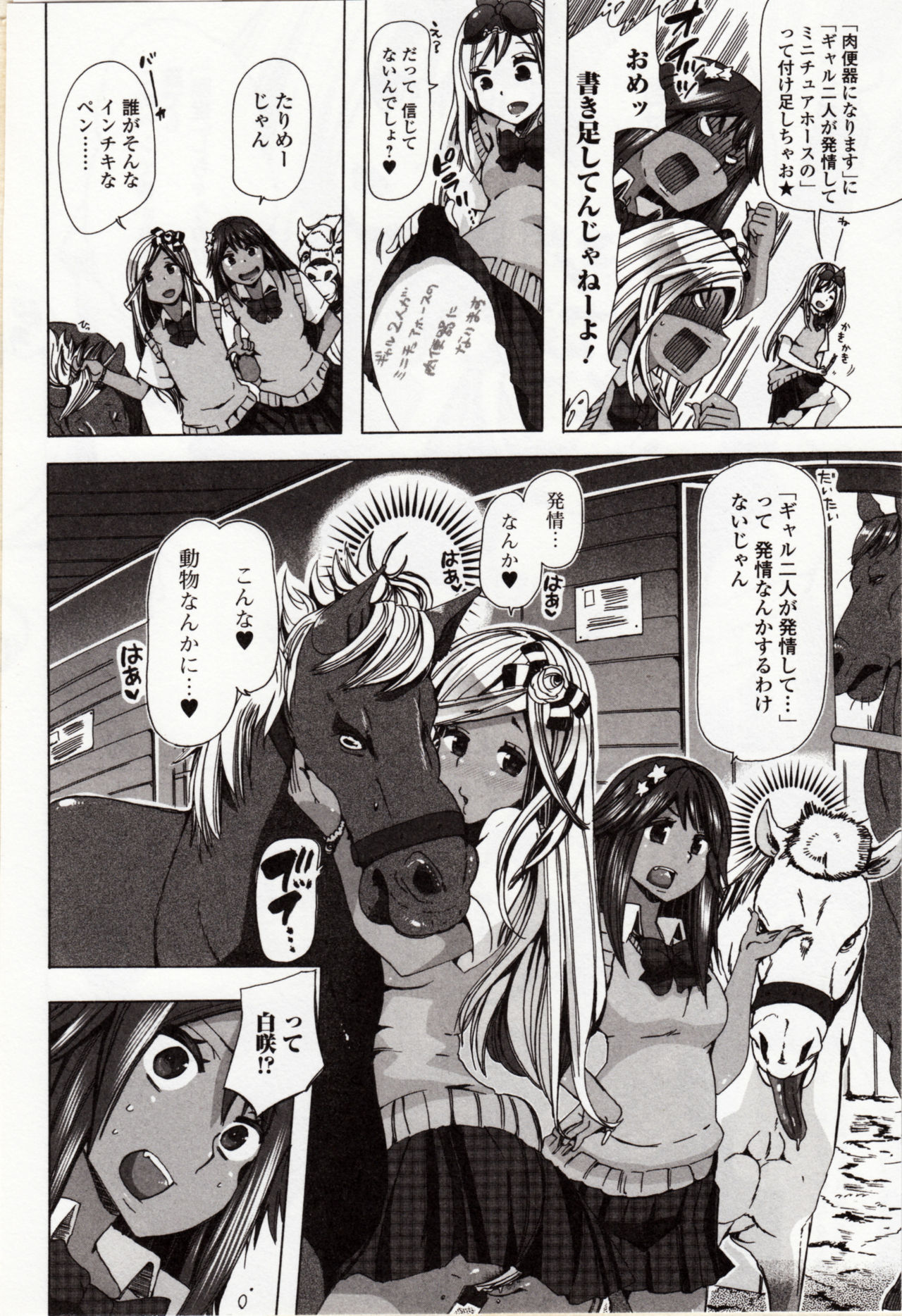 ケモノダイレクト4