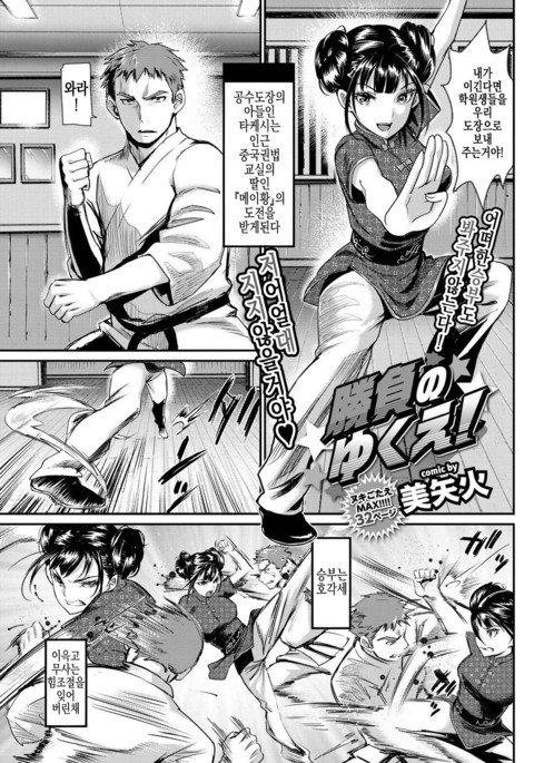 しょうぶのゆくえ