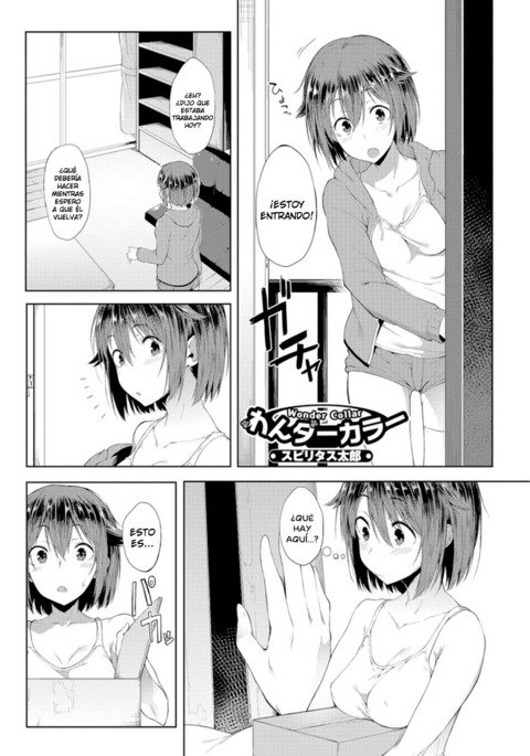 ワンダーカラー