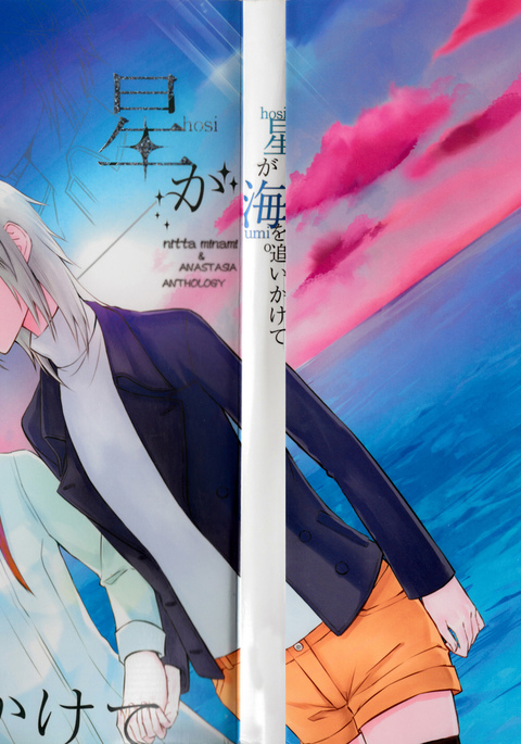 「ヒトデが追いかけている」