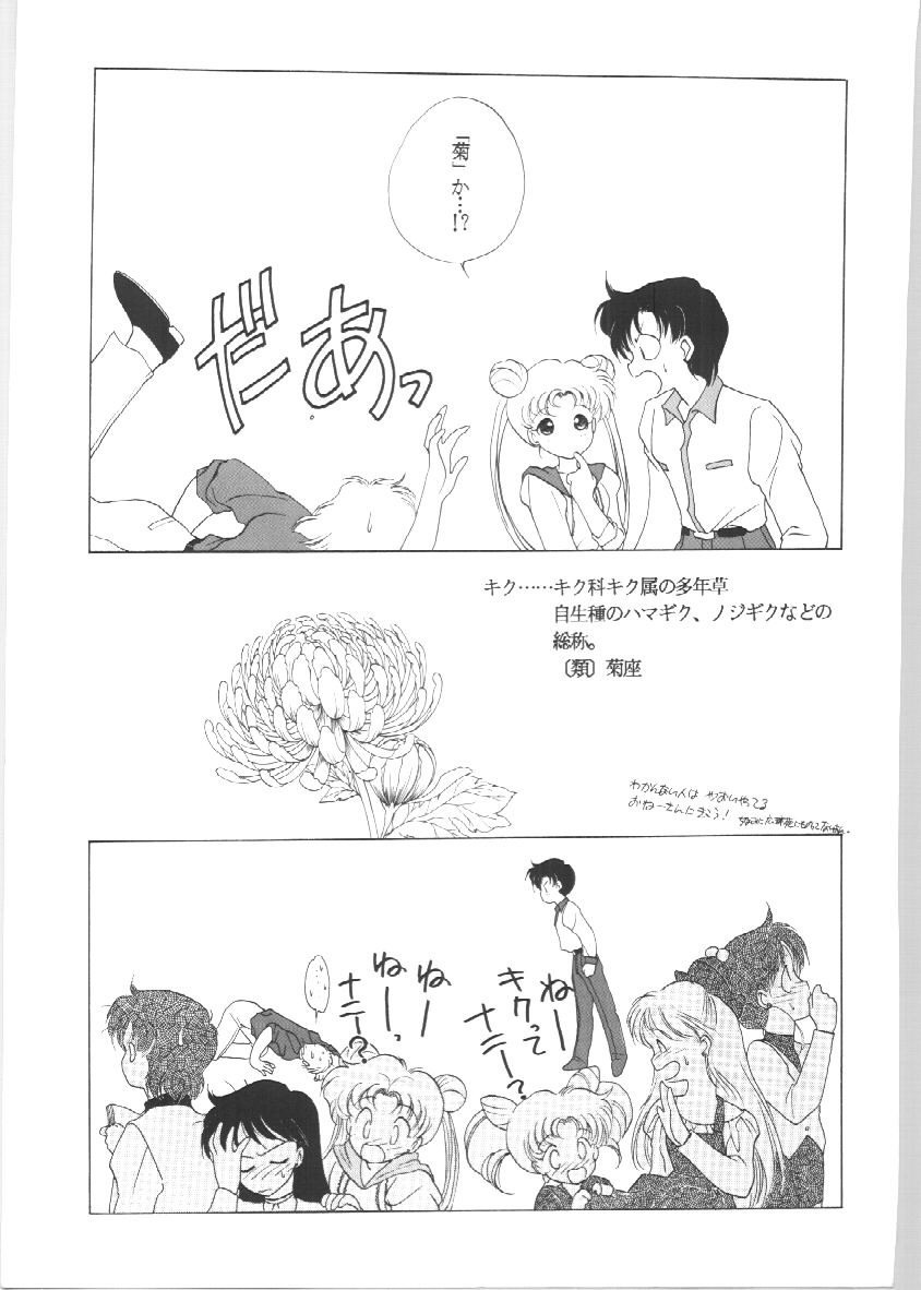 セーラーズEXバージョン