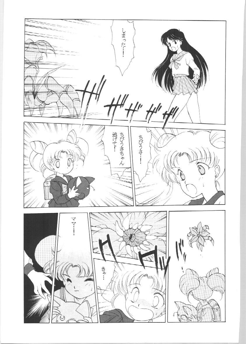 セーラーズEXバージョン