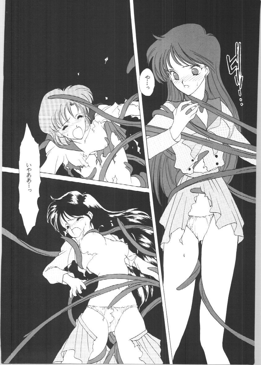 セーラーズEXバージョン