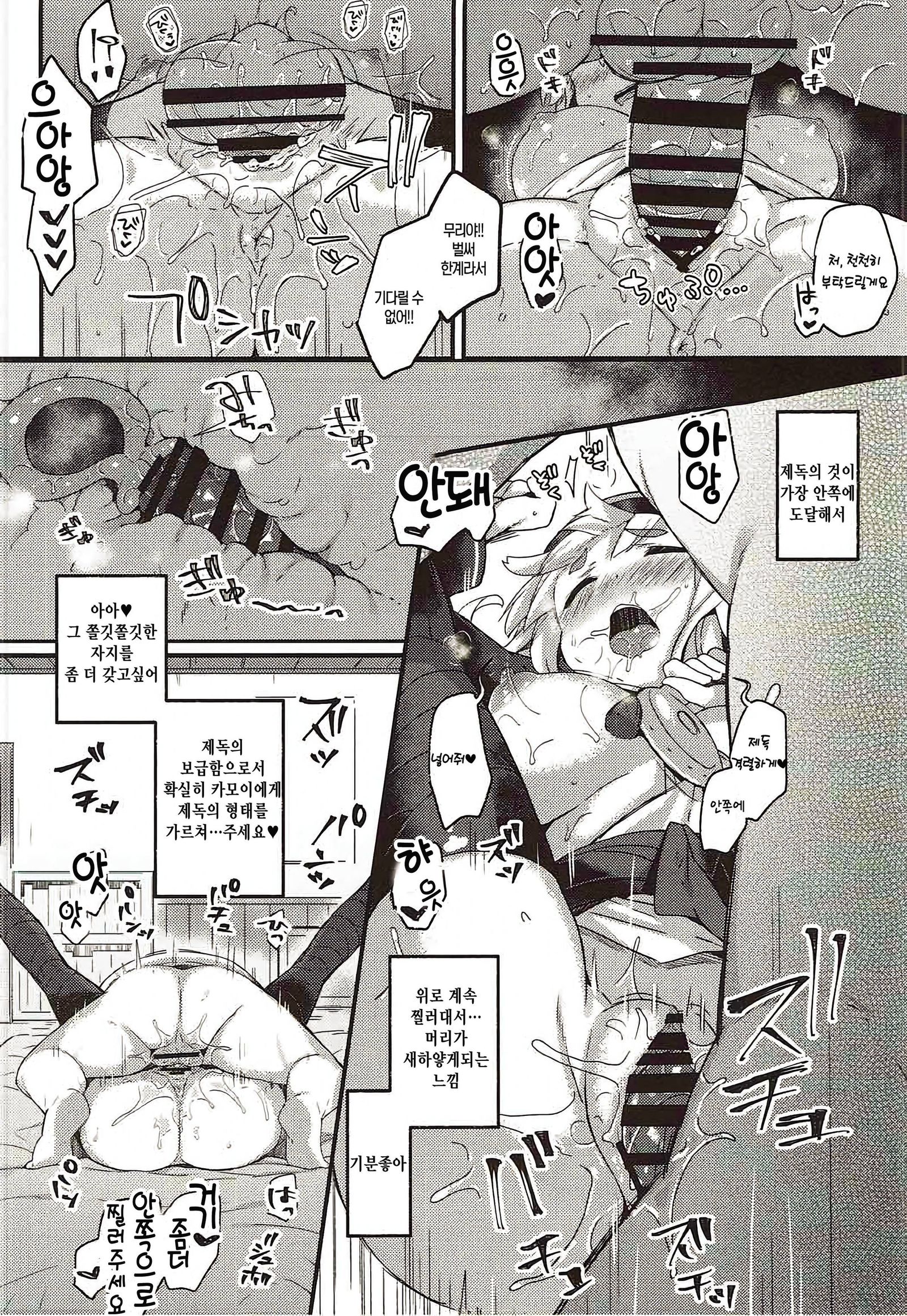 鴨井ちゃんはひっこみじん？