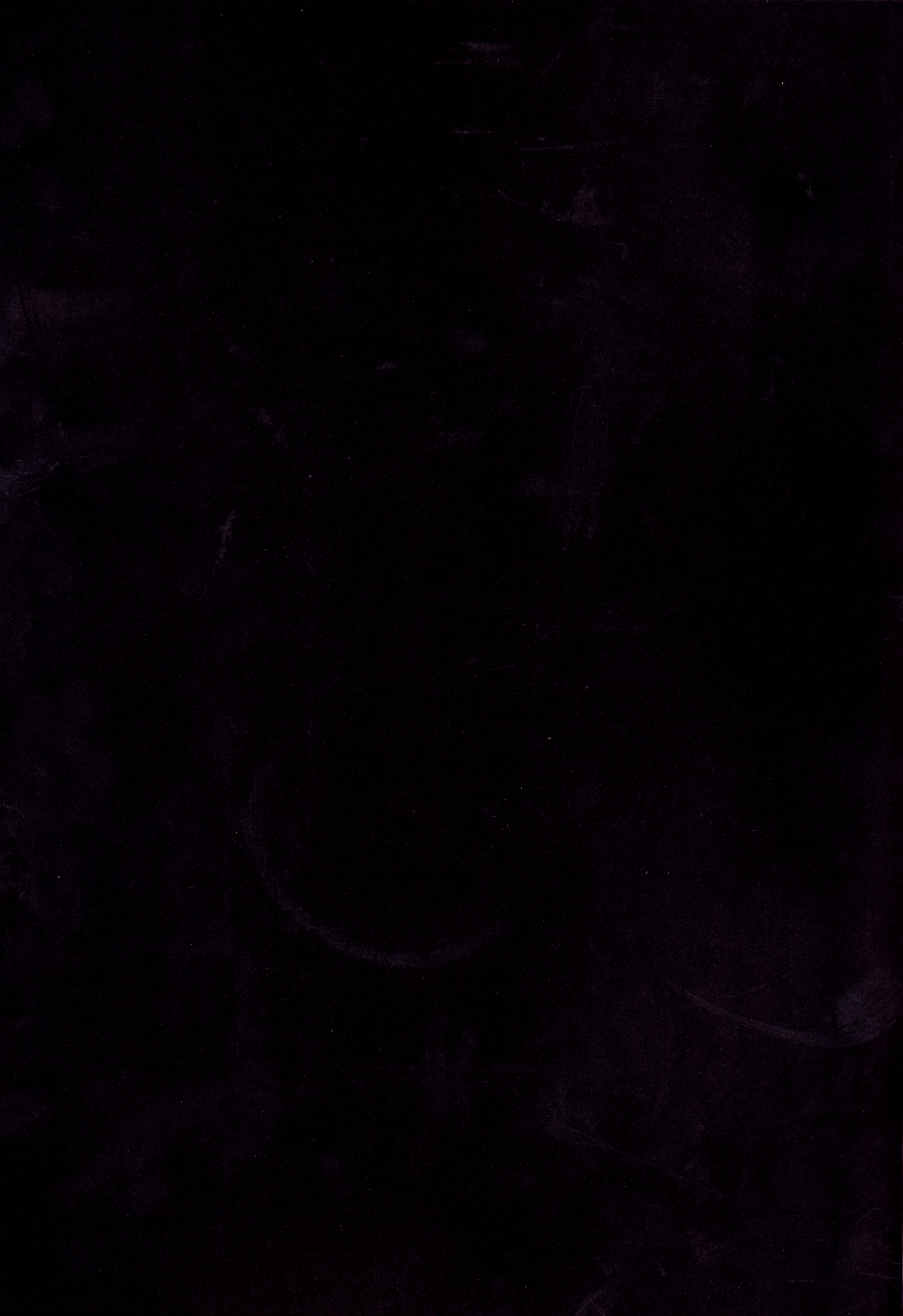 花から八光光煥