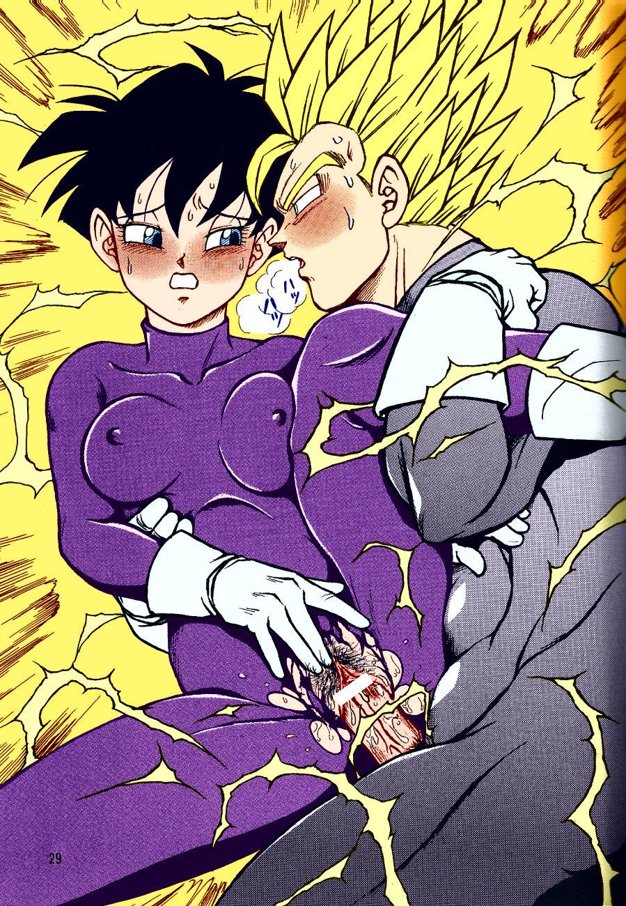 ドラゴンボールHマキサン