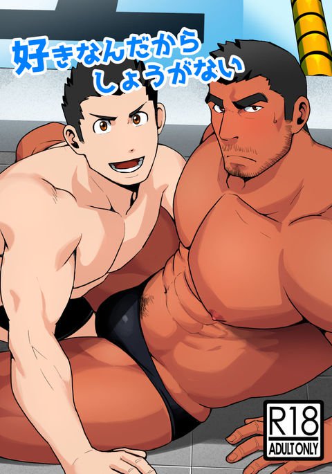 スキナンダカラ、Shou ga Nai