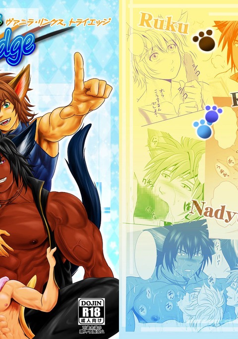 バニラリンクス、トライエッジ