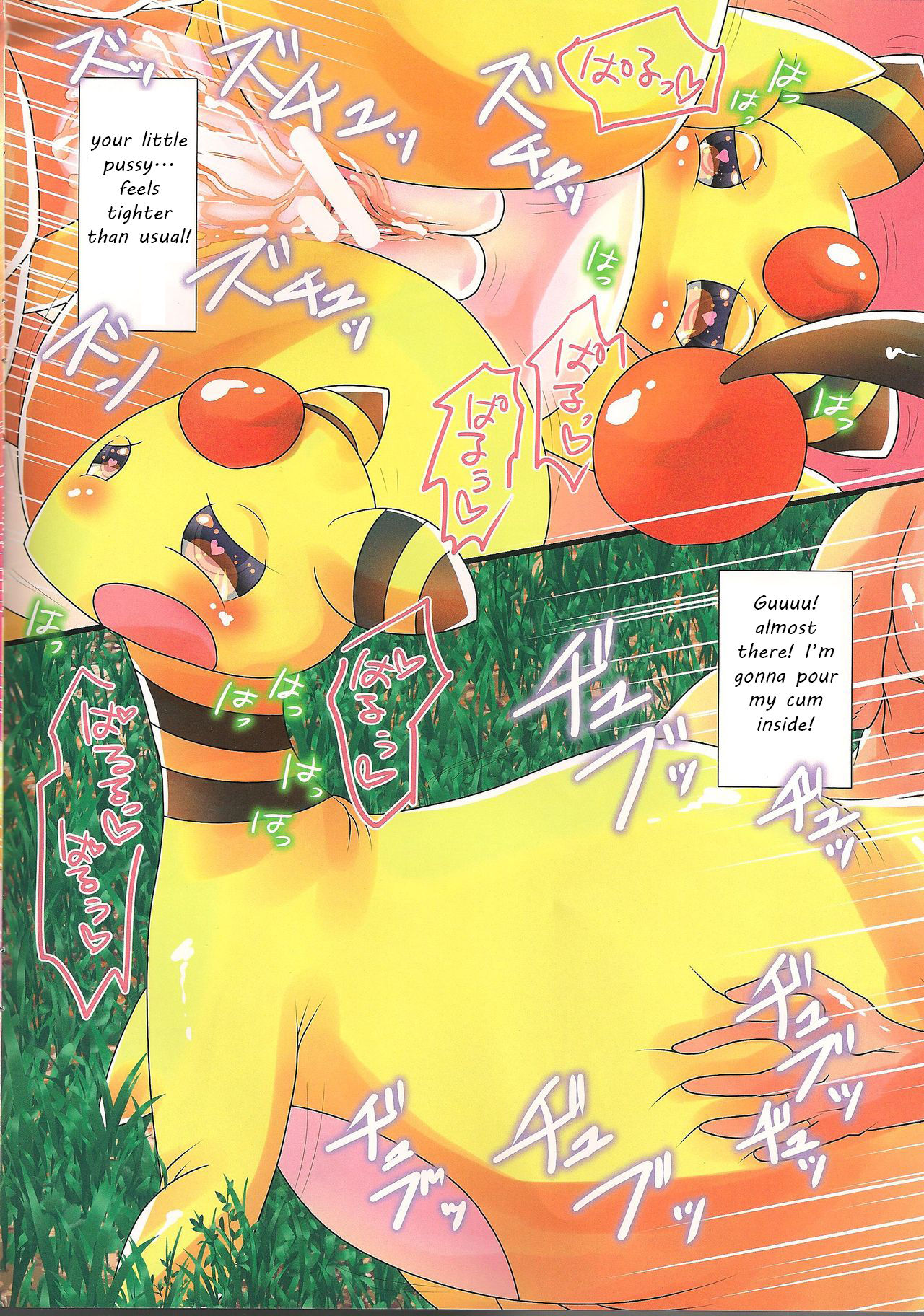 パルースウィート