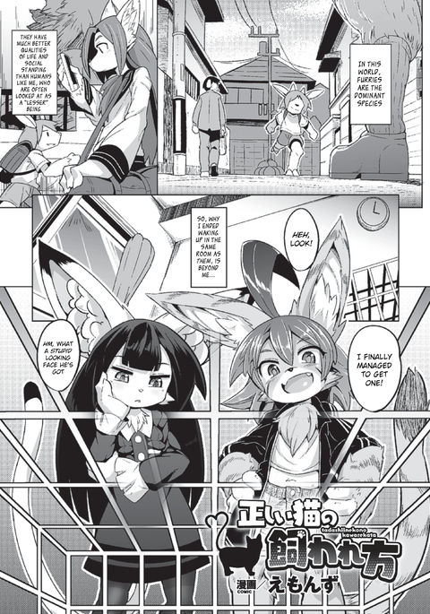 ただしい猫の川レカタ