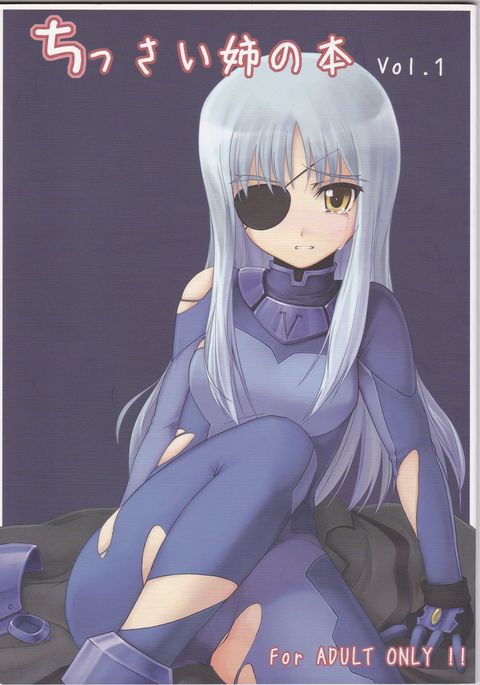 ちっさいあねの本vol。 1