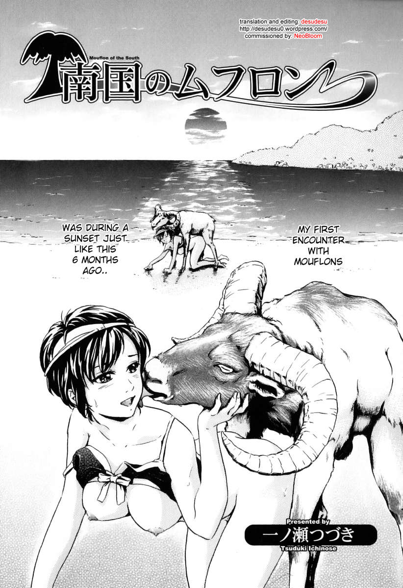 南のムーフロン