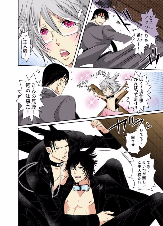 初兎うさぎしつじII