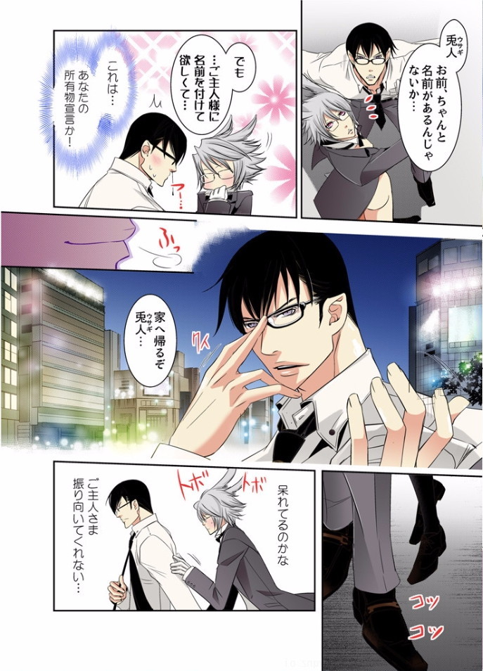 初兎うさぎしつじII