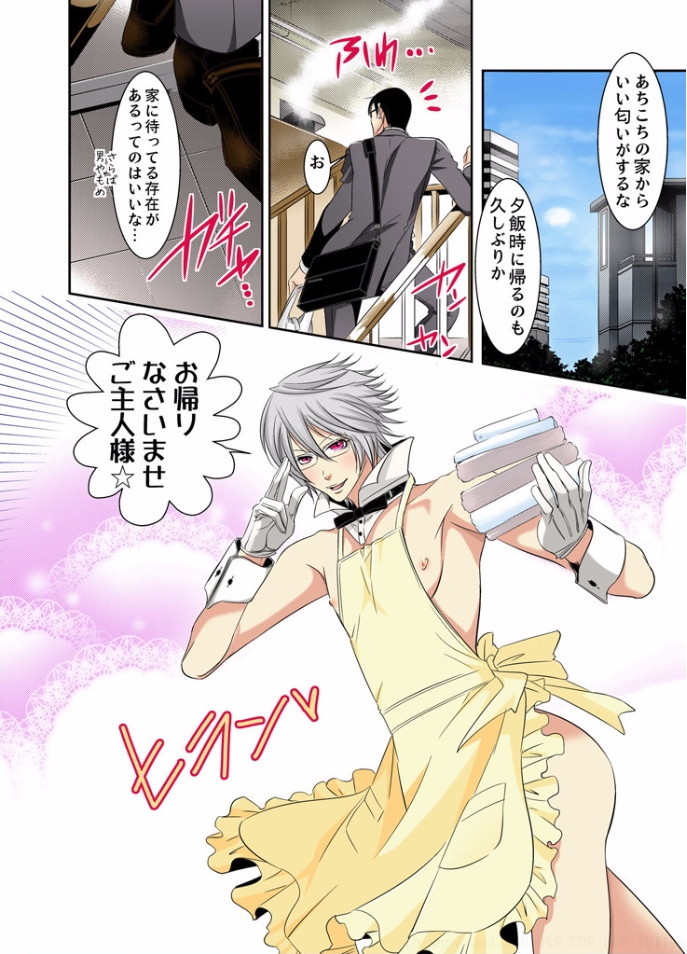 初兎うさぎしつじII