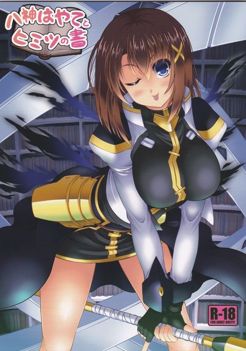 八神はやてから光の翔へ