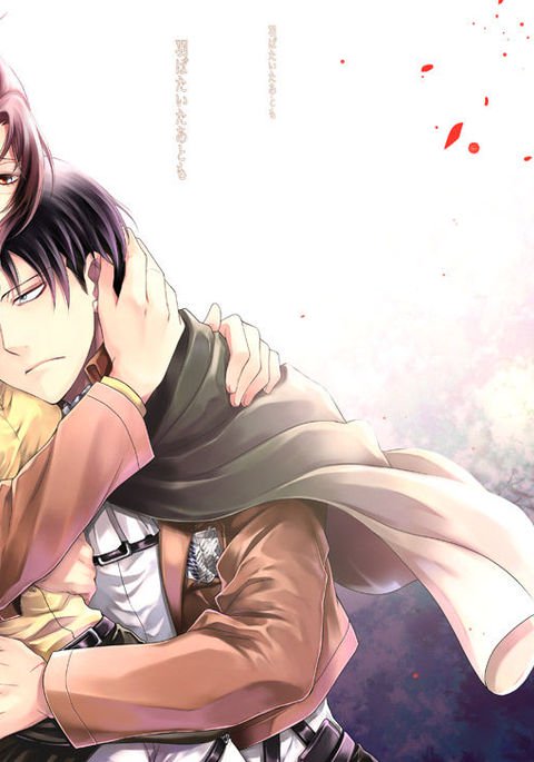 はばたいたあとも