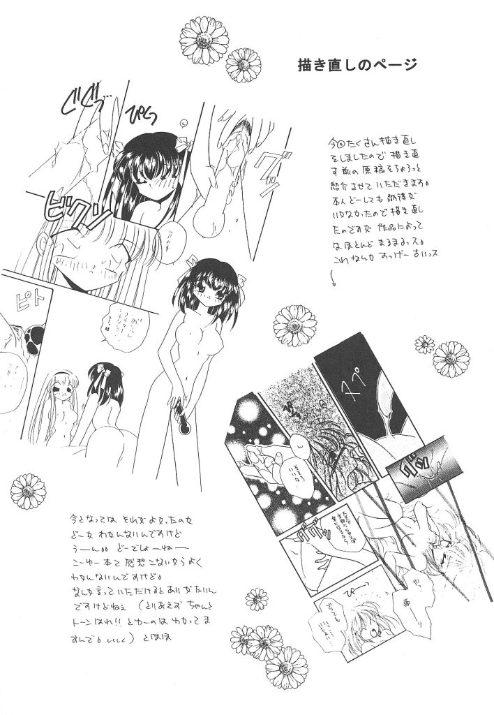 素晴らしき世界