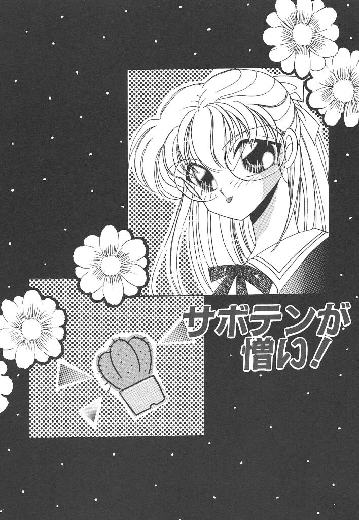 素晴らしき世界