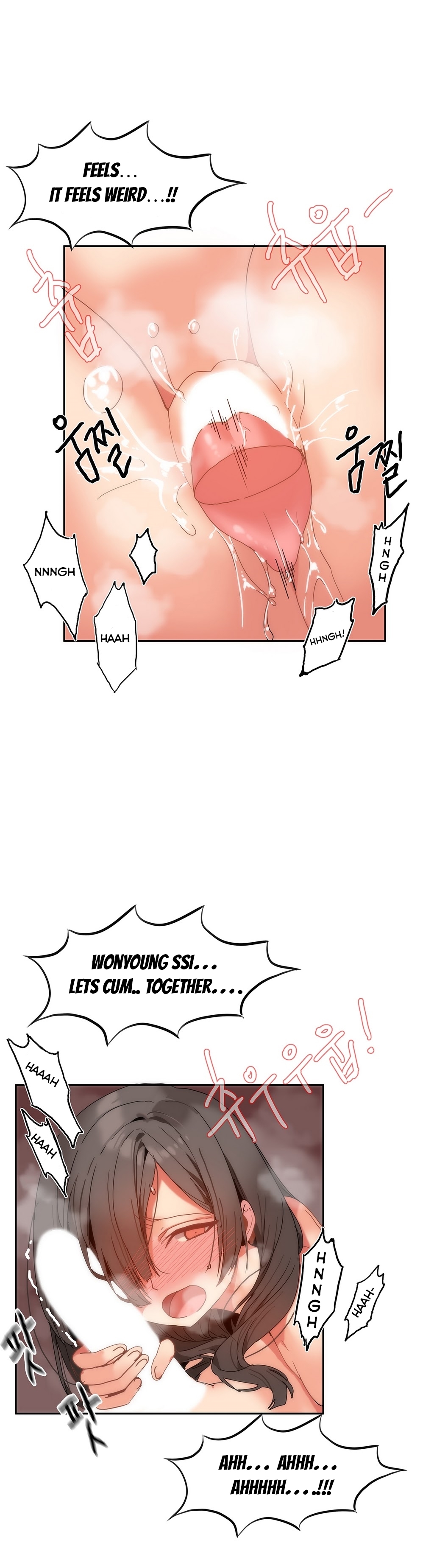 ハリのゴツゴツしたボードハウスCh。 0-32