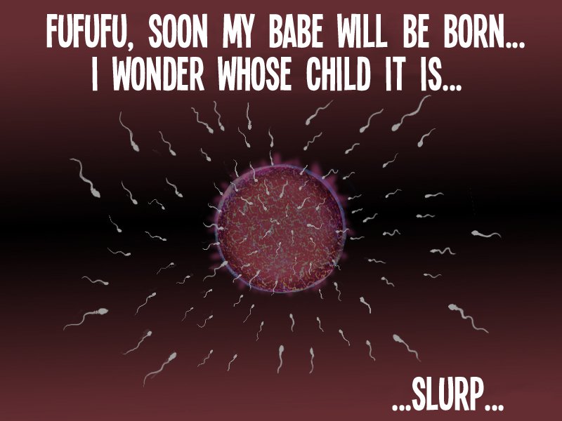 FINAL PUSSY〜ティファのリョウジョクアマヤドリ〜|ティファのレイプシェルター