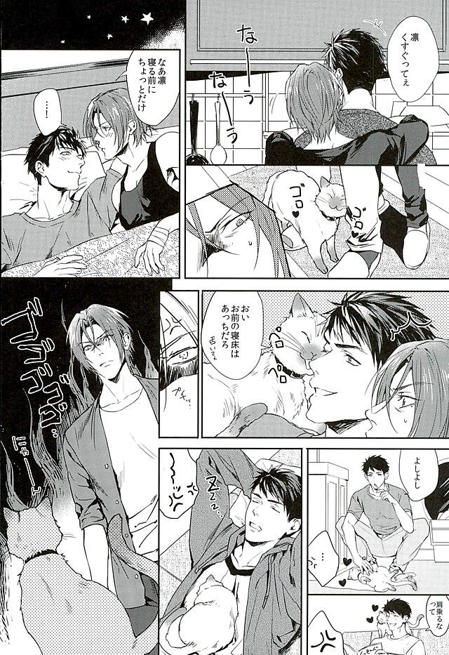 わがやのにゃんこ様