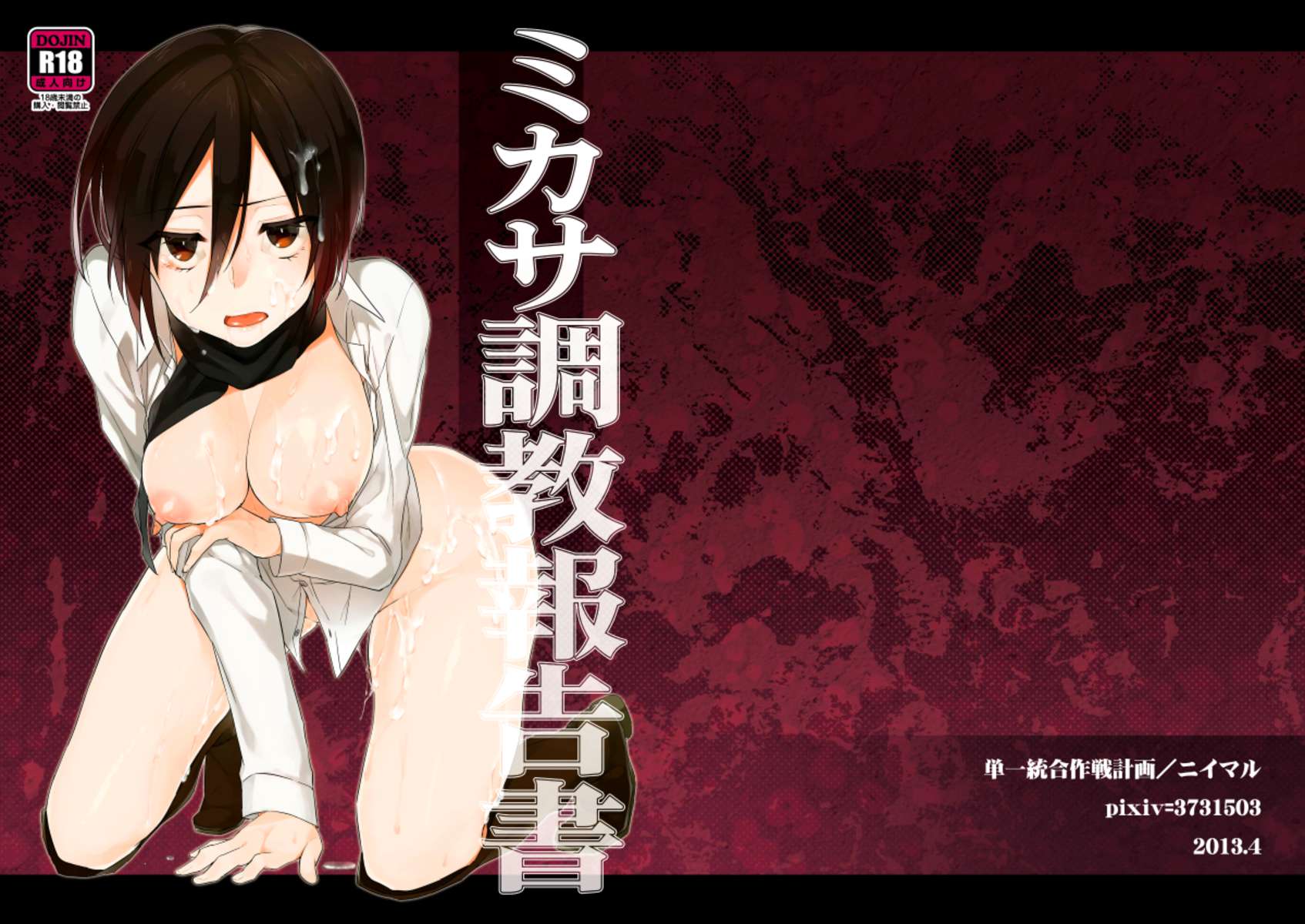 ミカサのトレーニングレポート