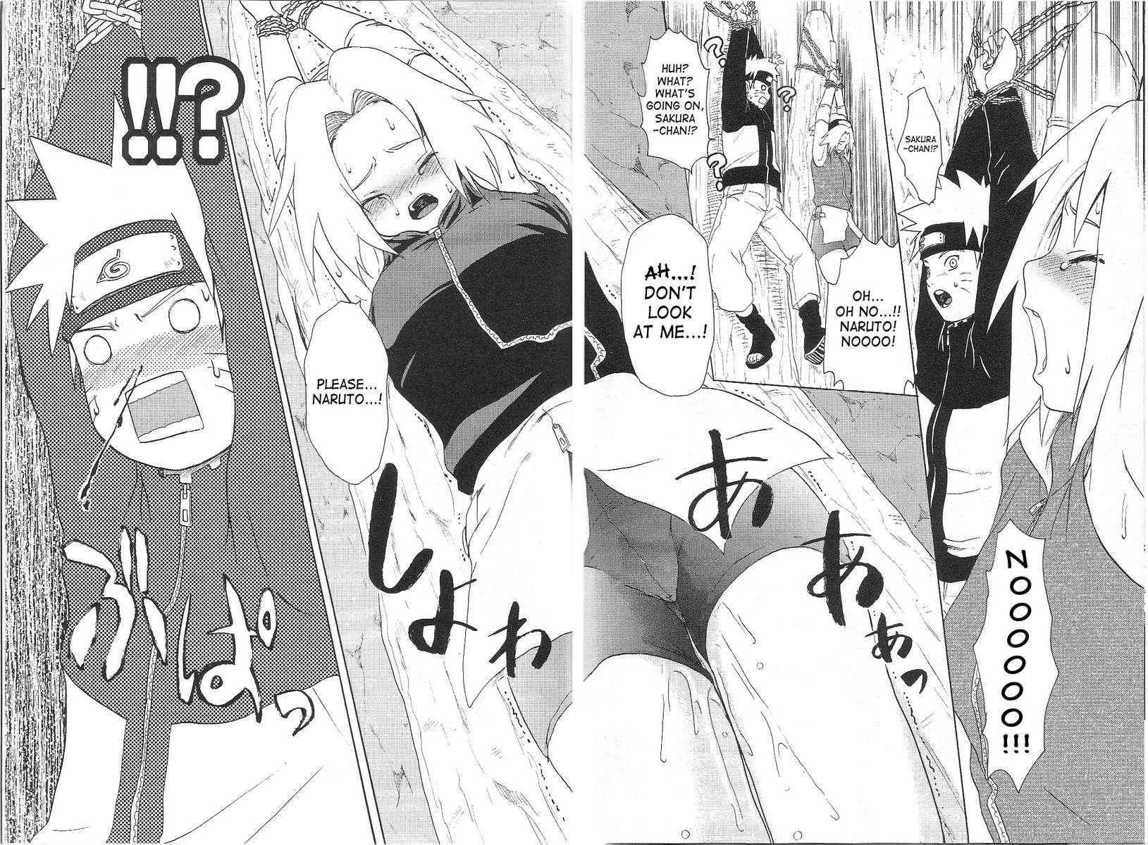 黒アゲハ